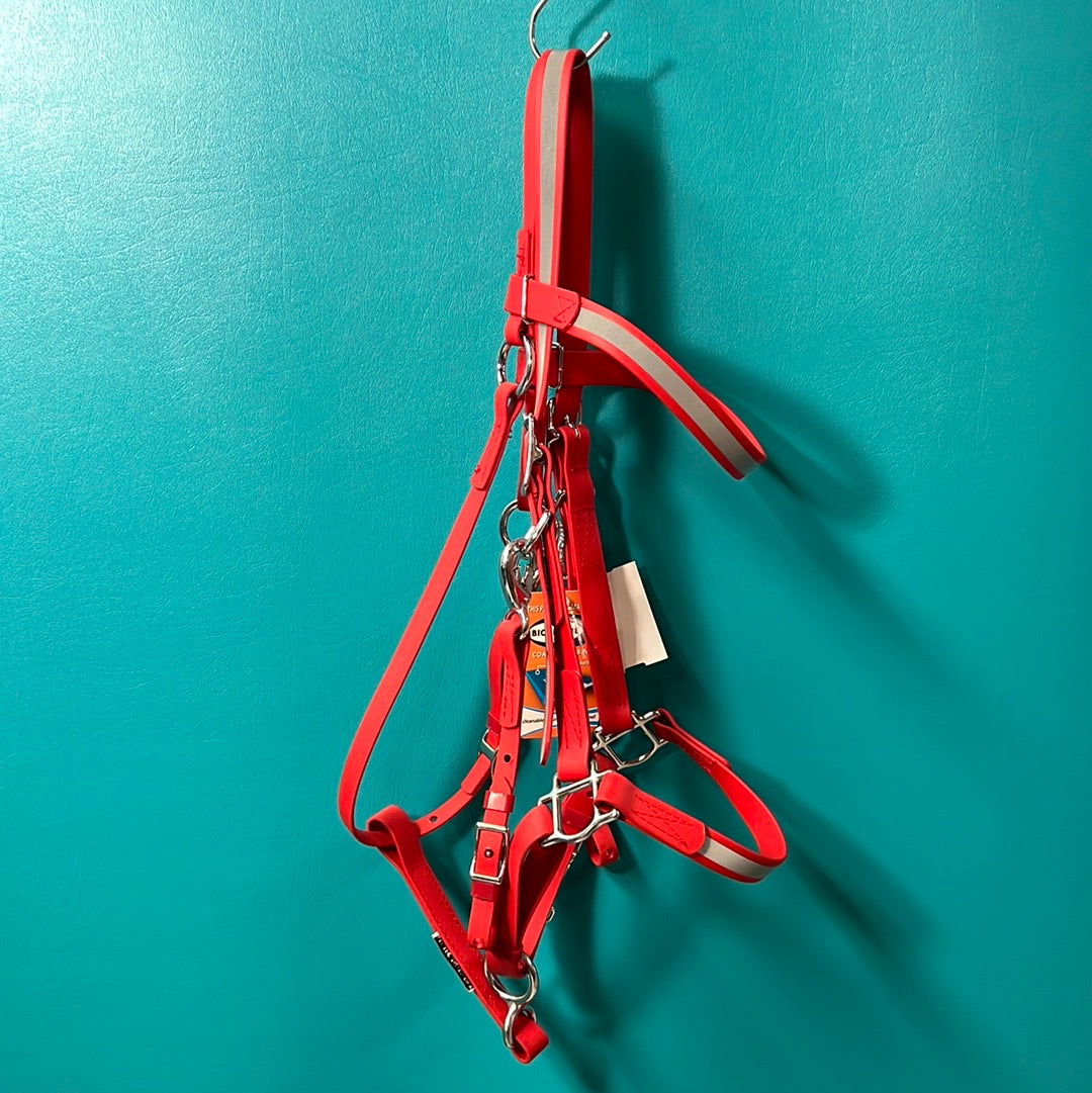 Red Beta Halter/Bridle, Arab