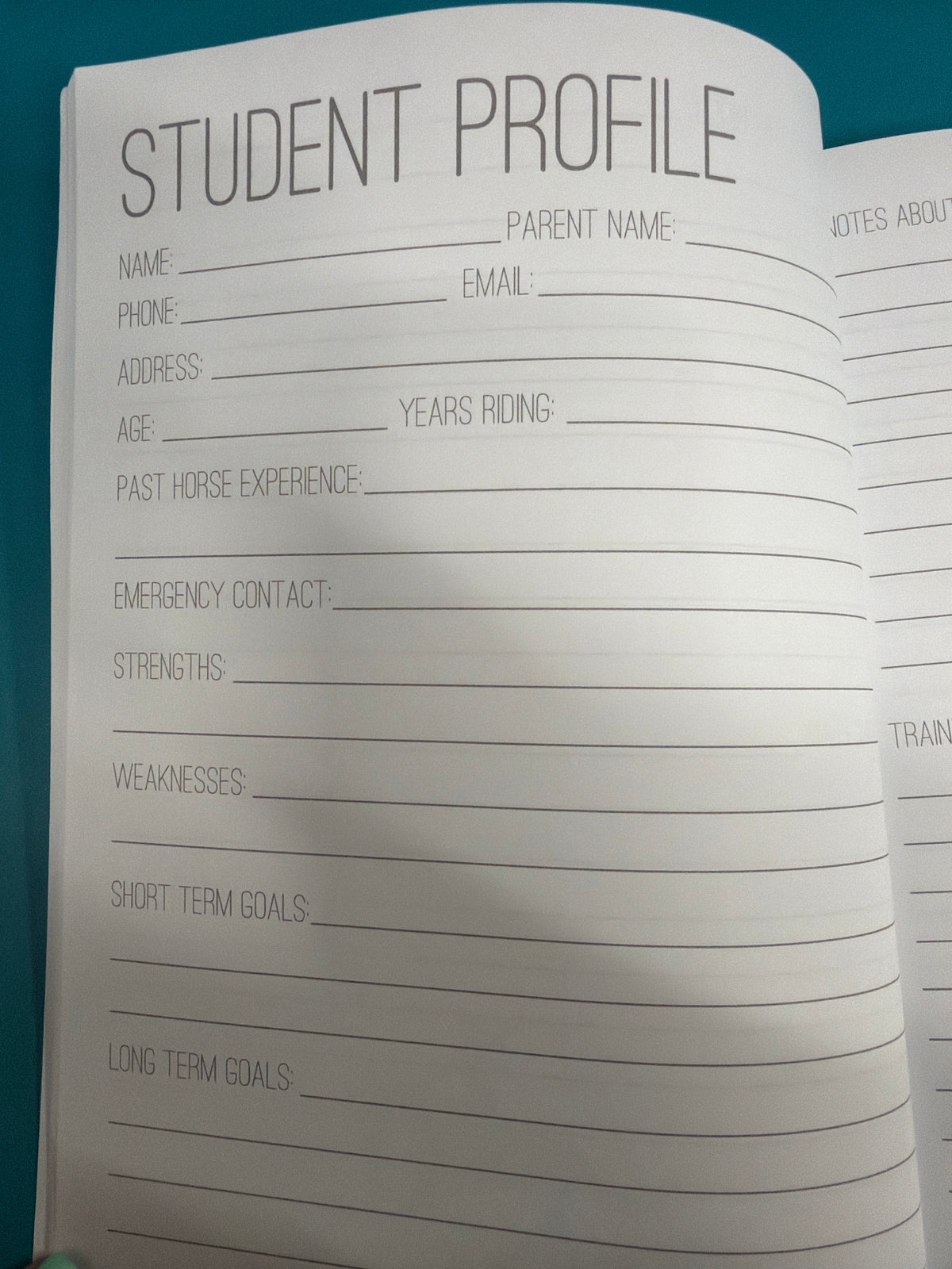 Circus Unicorn Lesson Planner