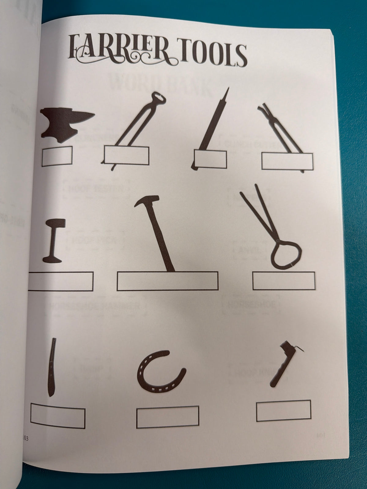Circus Unicorn, Riding Students horse workbook