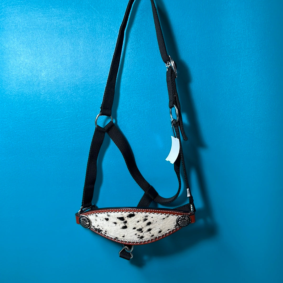 Bronc Halter, Horse