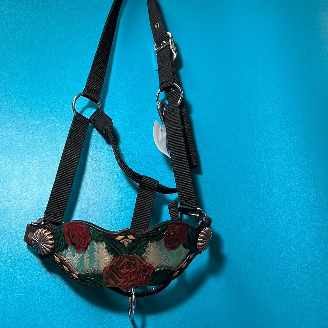 Bronc Halter, Horse
