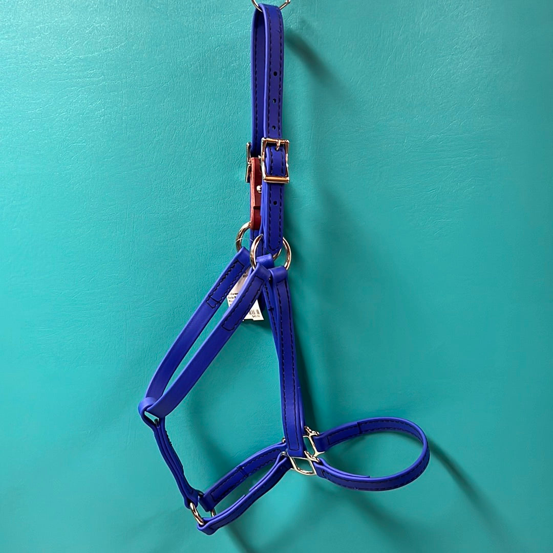 Royal Blue Beta Breakaway Halter, Horse