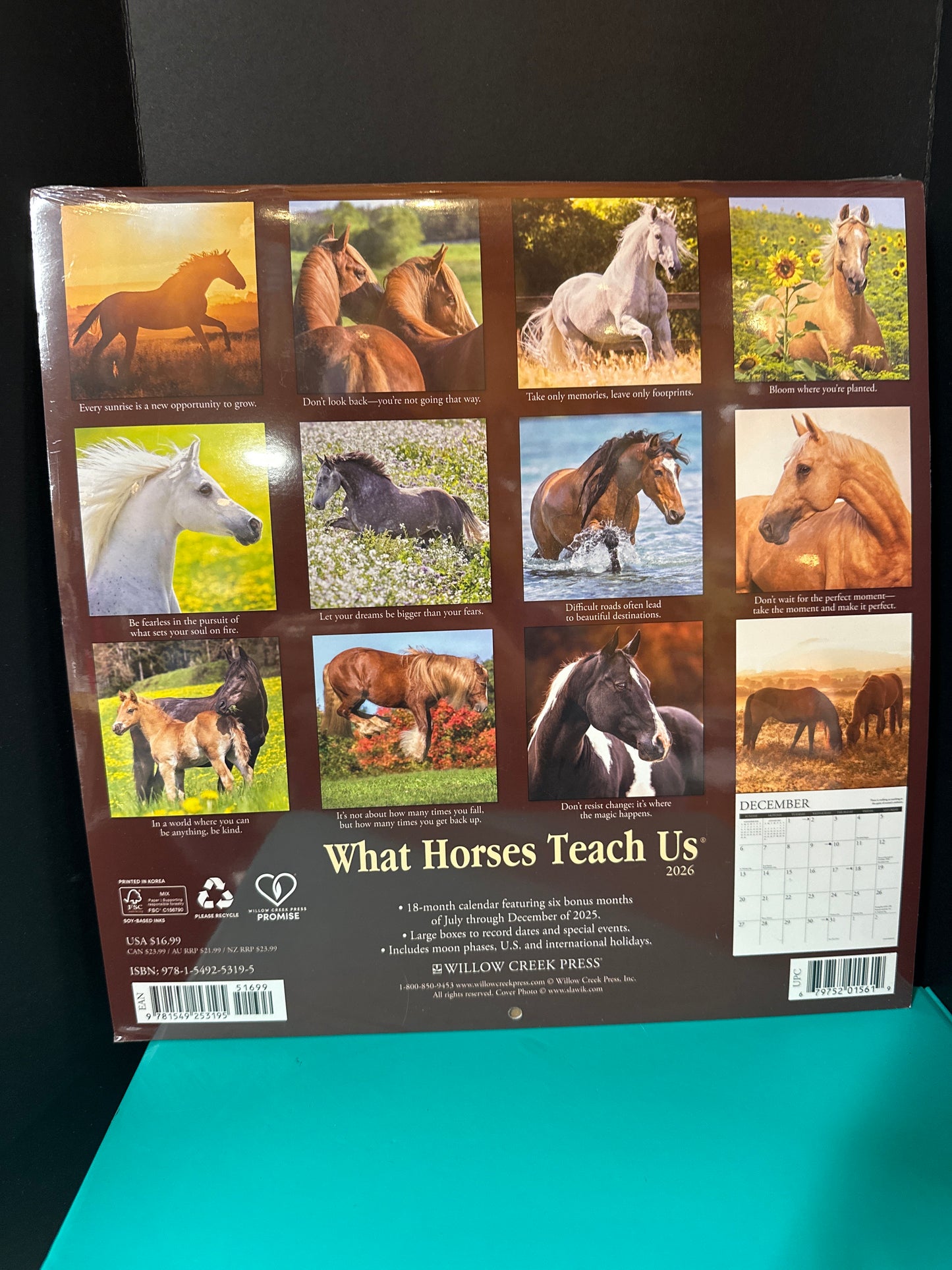 Willow Creek Press What Horses Teach us Wall Caledar