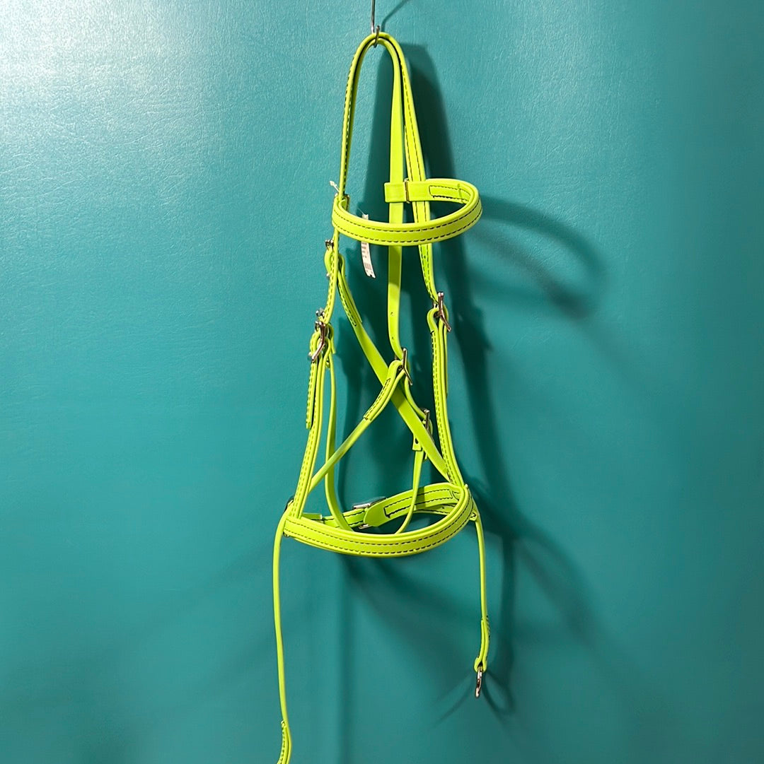 Lime Green Bitless Bridle, Arab