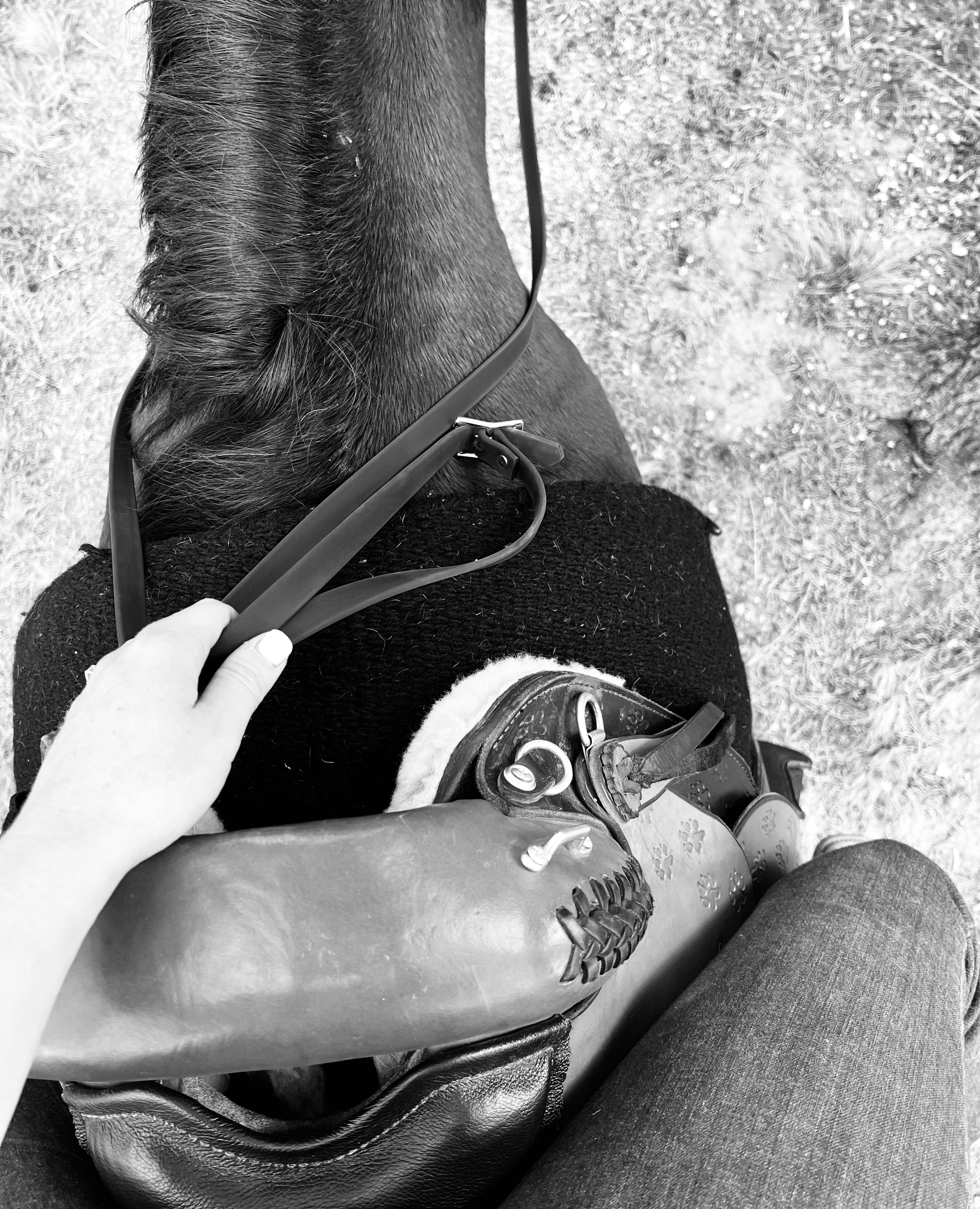 Endurance Saddles - A Bit Less Tack