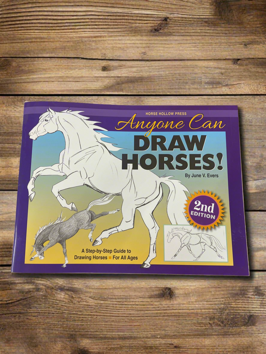 Anyone Can Draw Horses Book