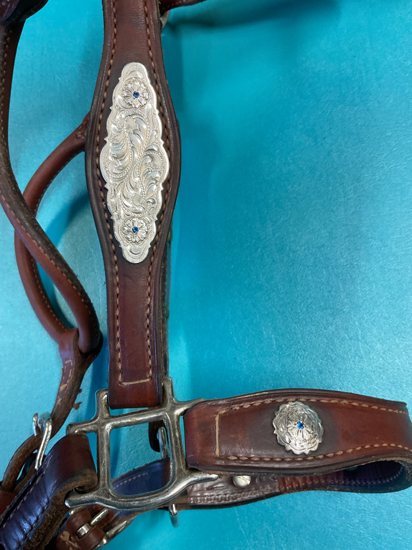 Champion Turf Show Halter