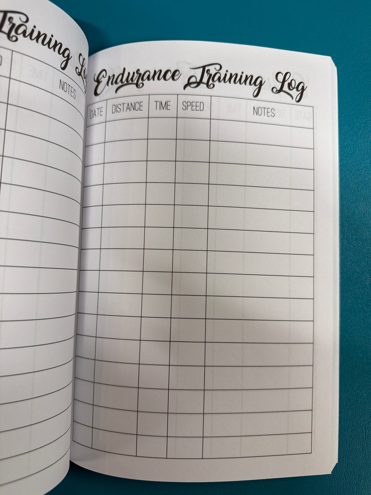 Circus Unicorn, The Endurance Riders Journal