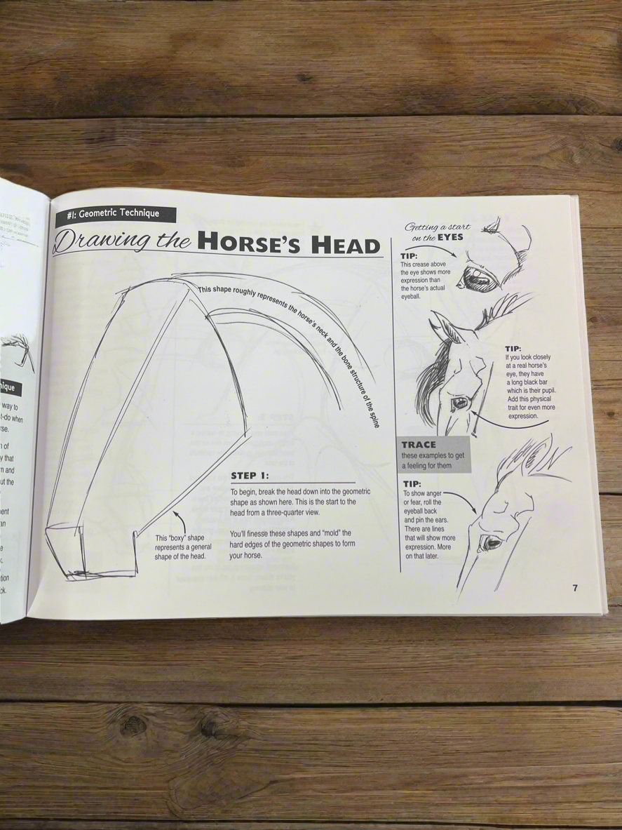 Anyone Can Draw Horses Book