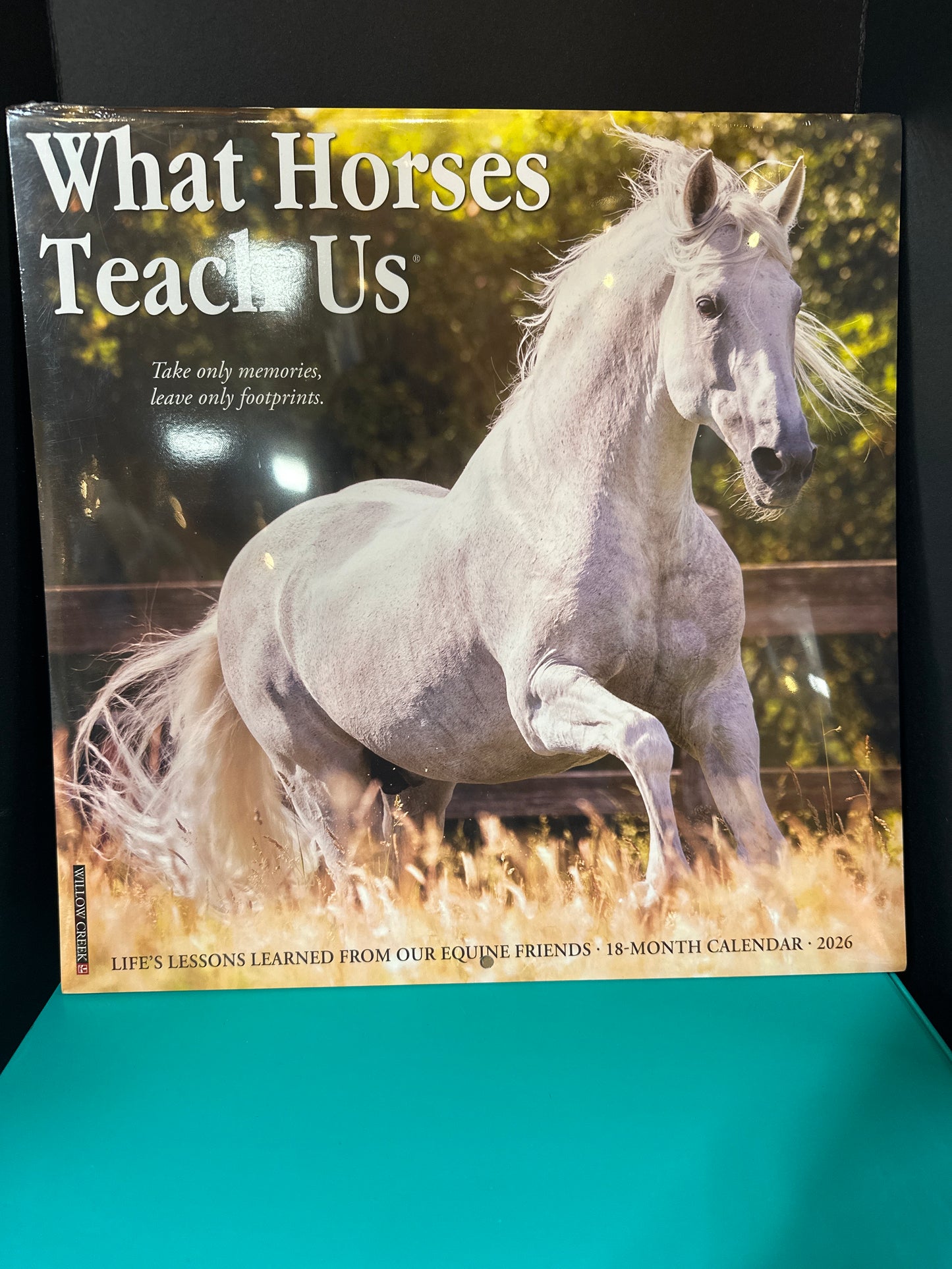 Willow Creek Press What Horses Teach us Wall Caledar