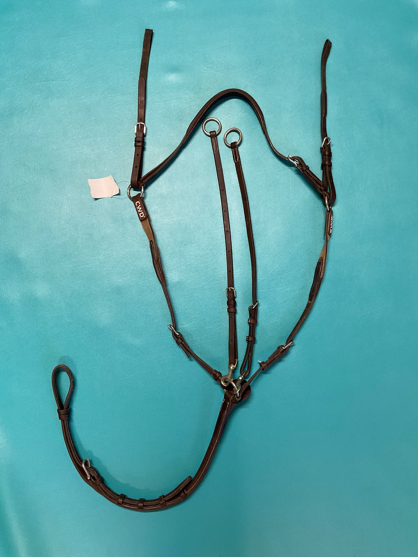 CWD 5 Point Martingale