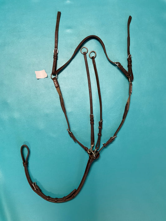 CWD 5 Point Martingale