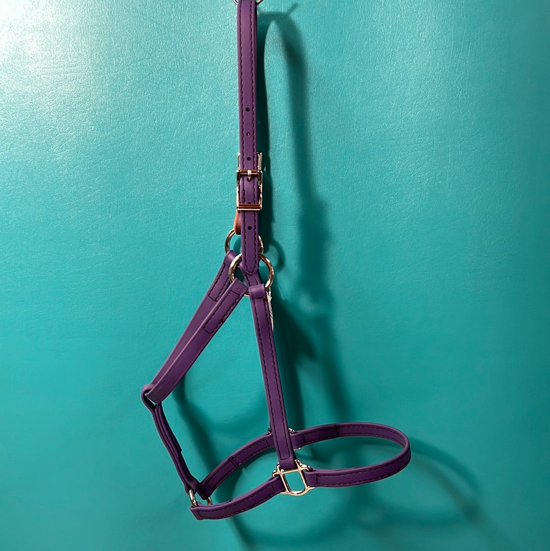 Purple  Beta Breakaway Halter, Horse