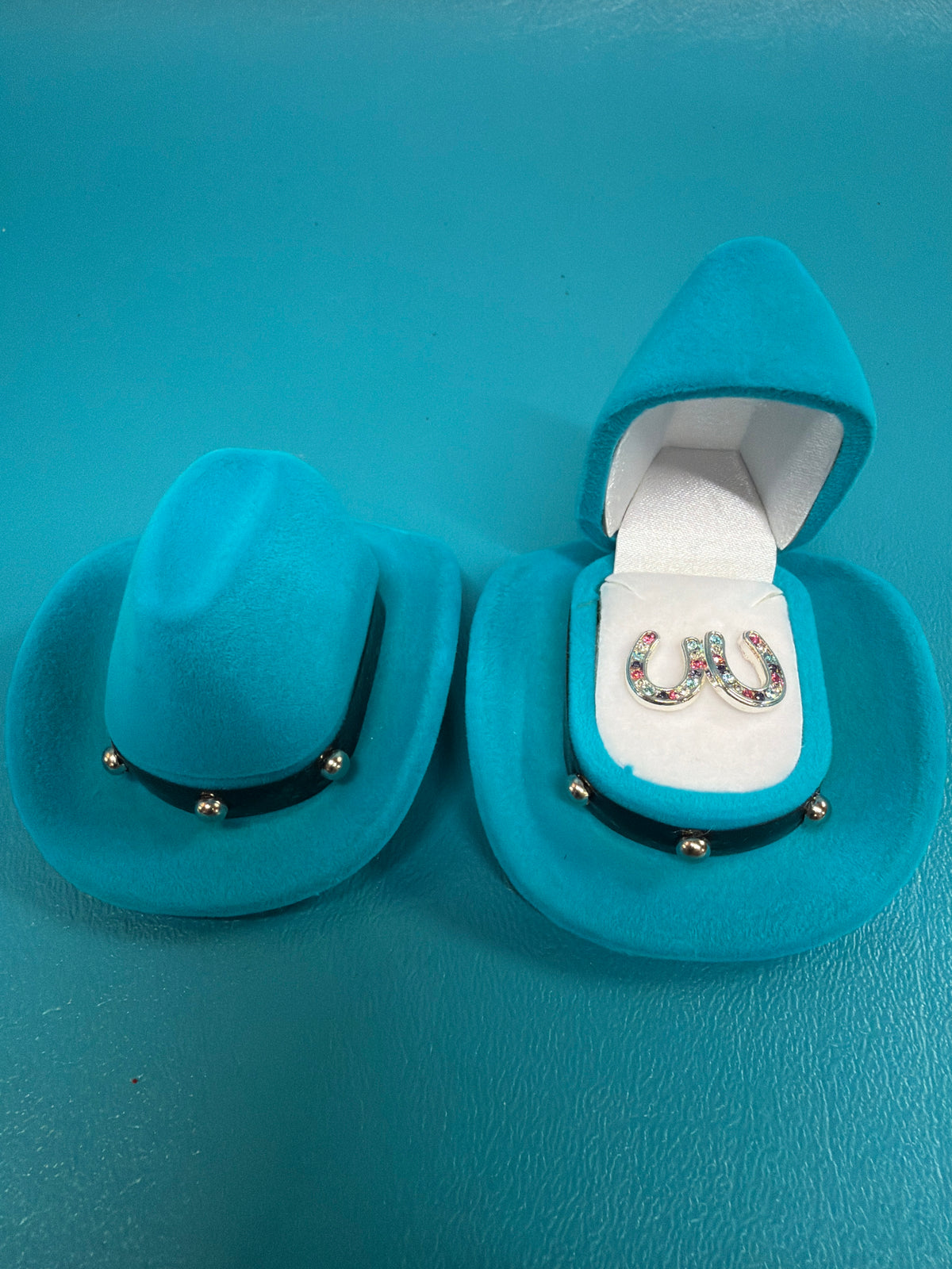 Multi color Horseshoe Earrings, None