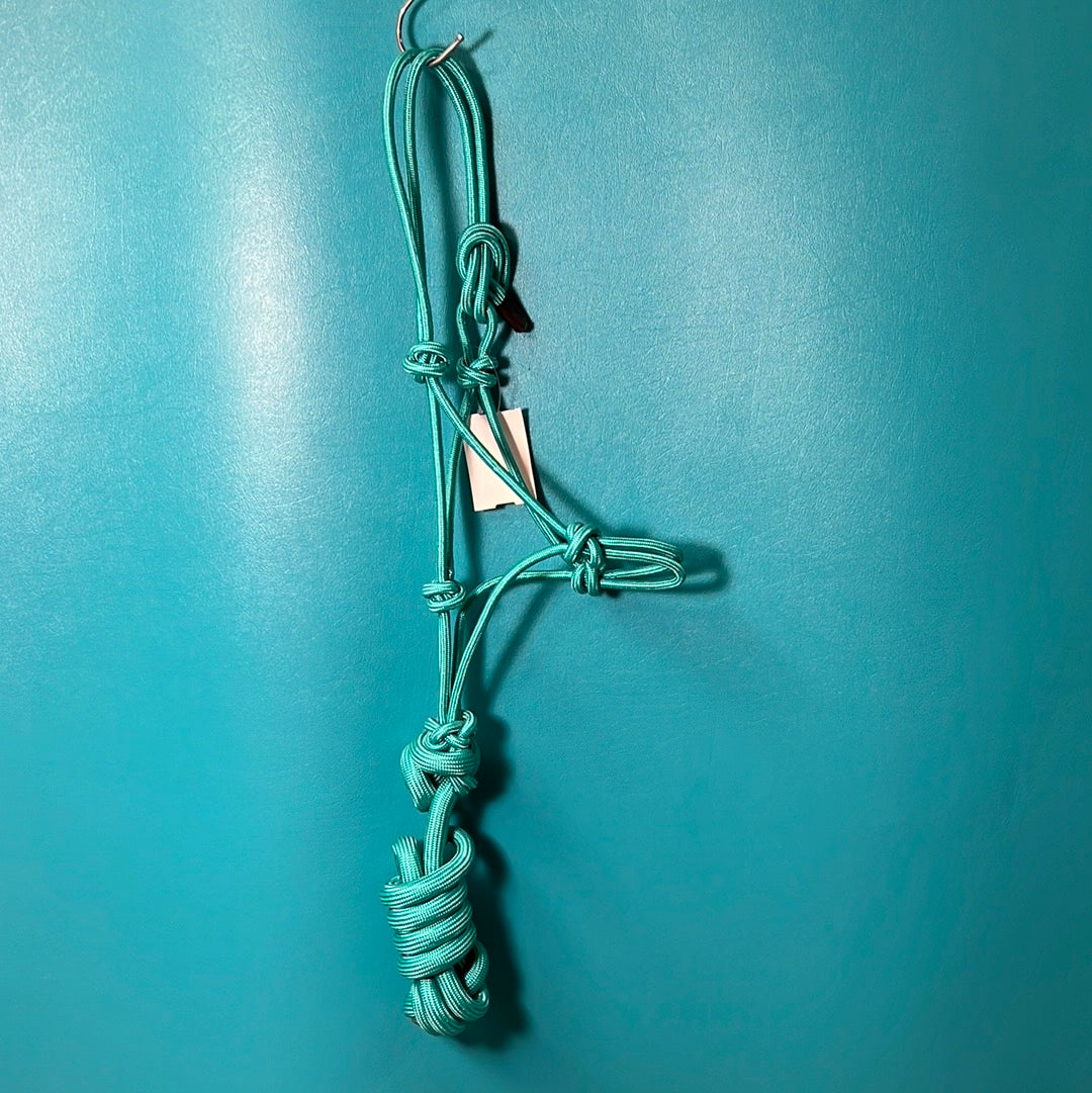 Teal  Rope Halter W/Lead, Pony