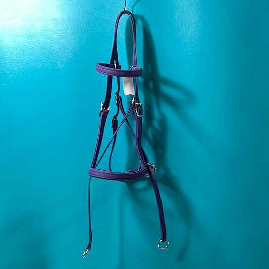 Purple  Beta Bitless Bridle, Arab