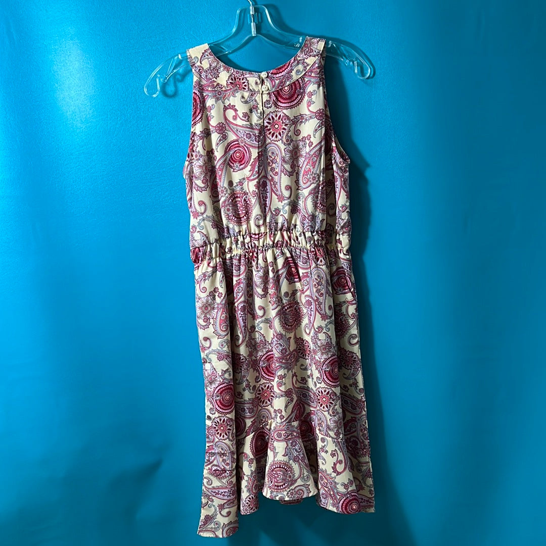 Pink & Red Roper Paisley Dress, S