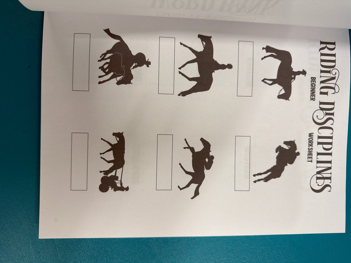 Circus Unicorn, Riding Students horse workbook