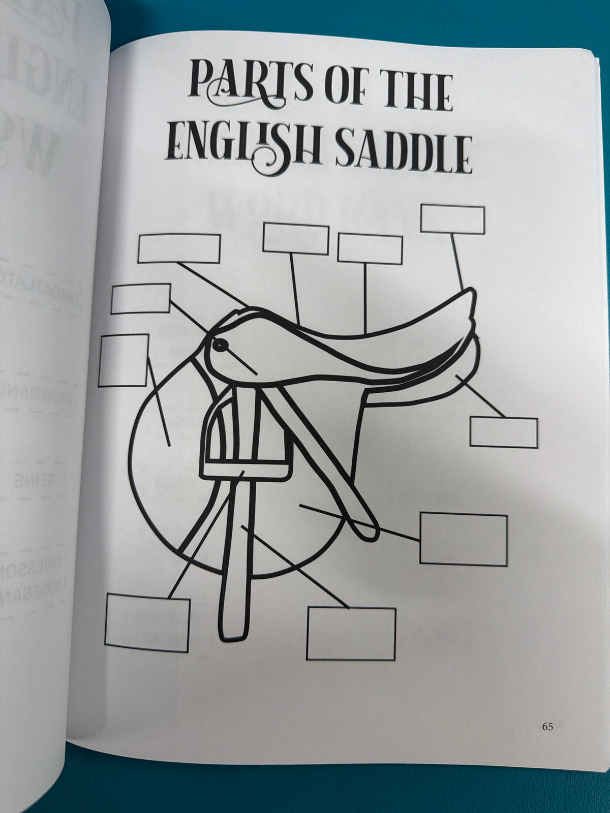 Circus Unicorn, English Riding Lessons & Activities