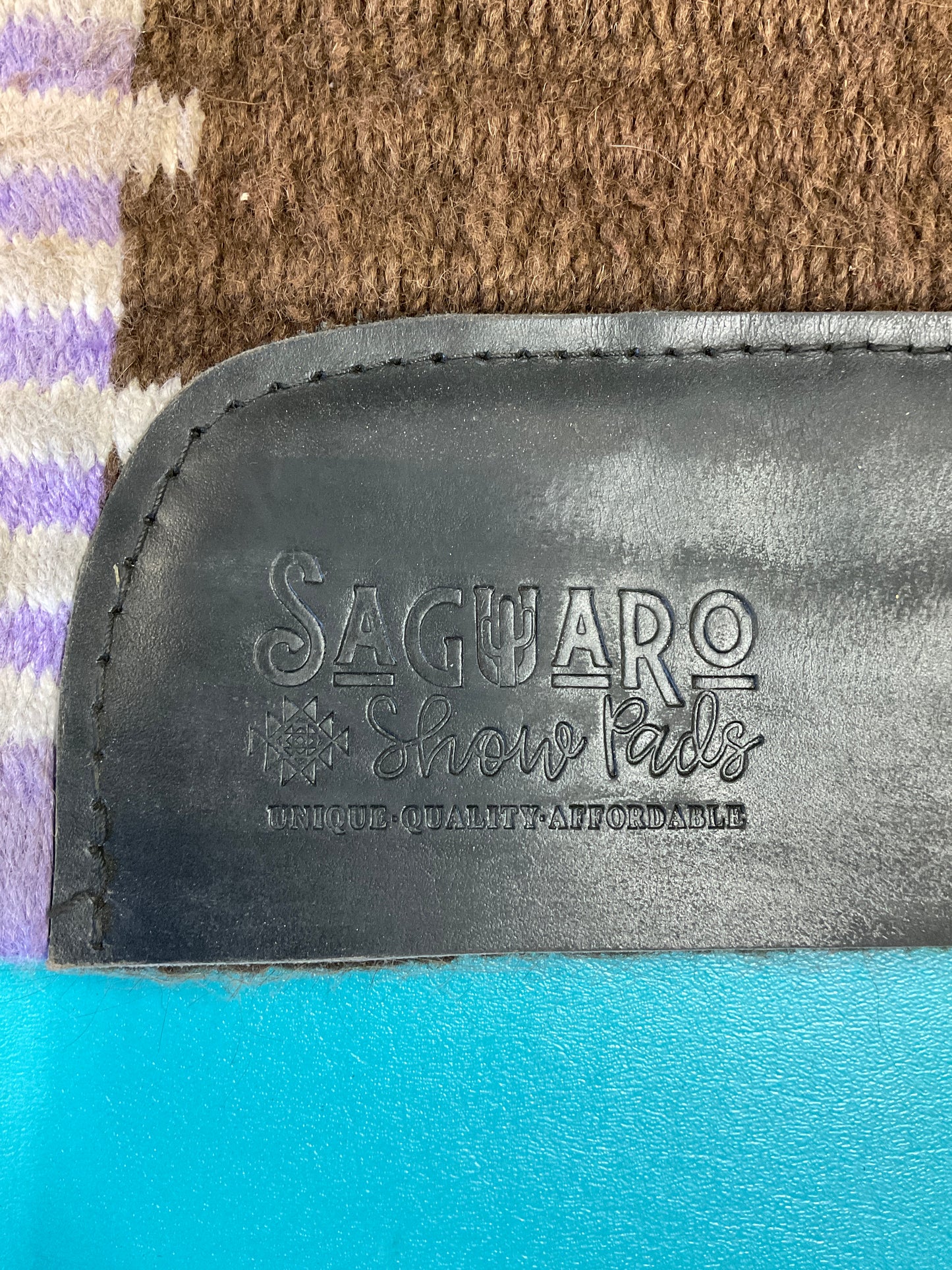Saguaro Saddle Blanket