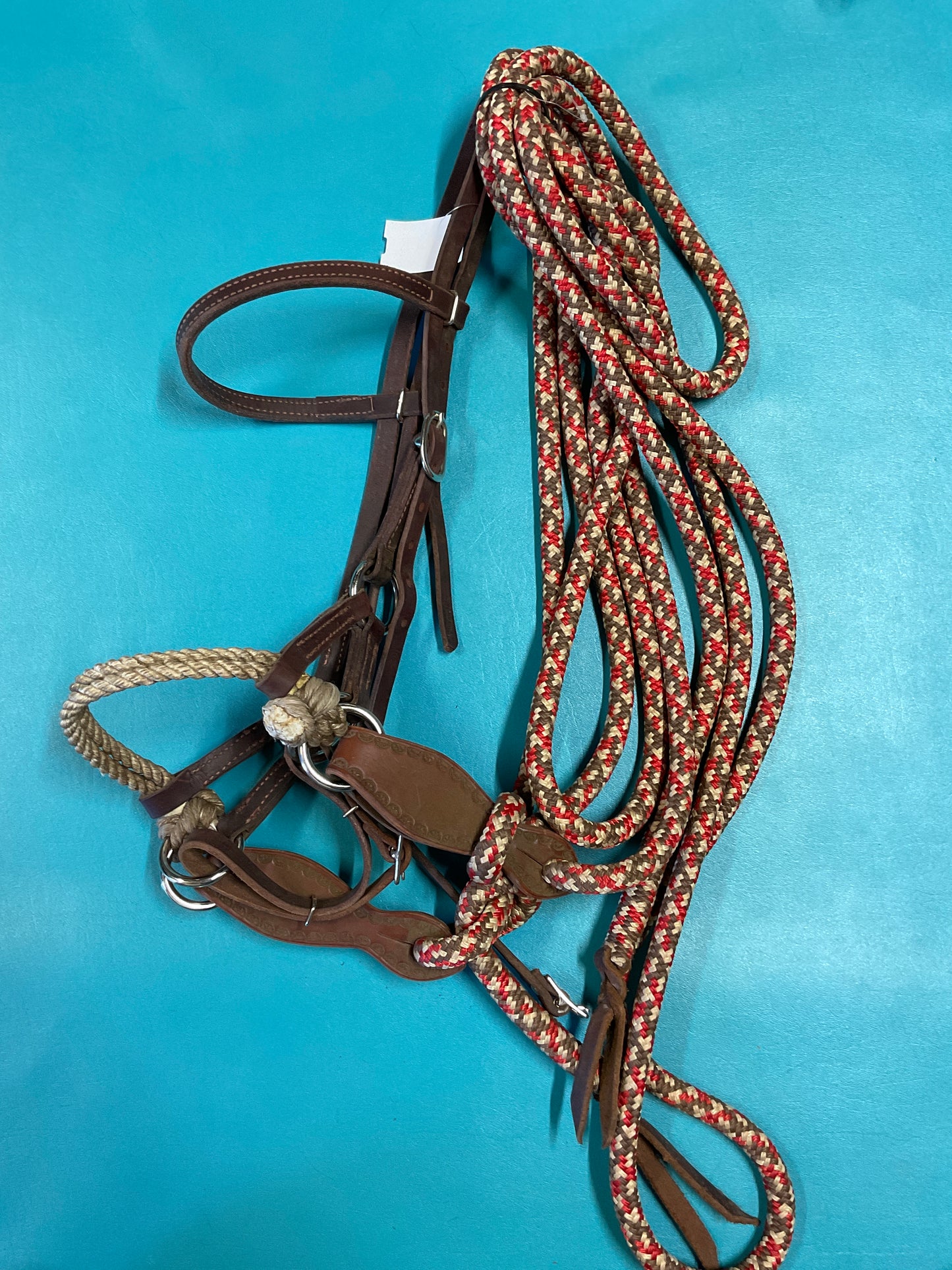 Weaver & Big Sky Side Pull w/Mecate Reins