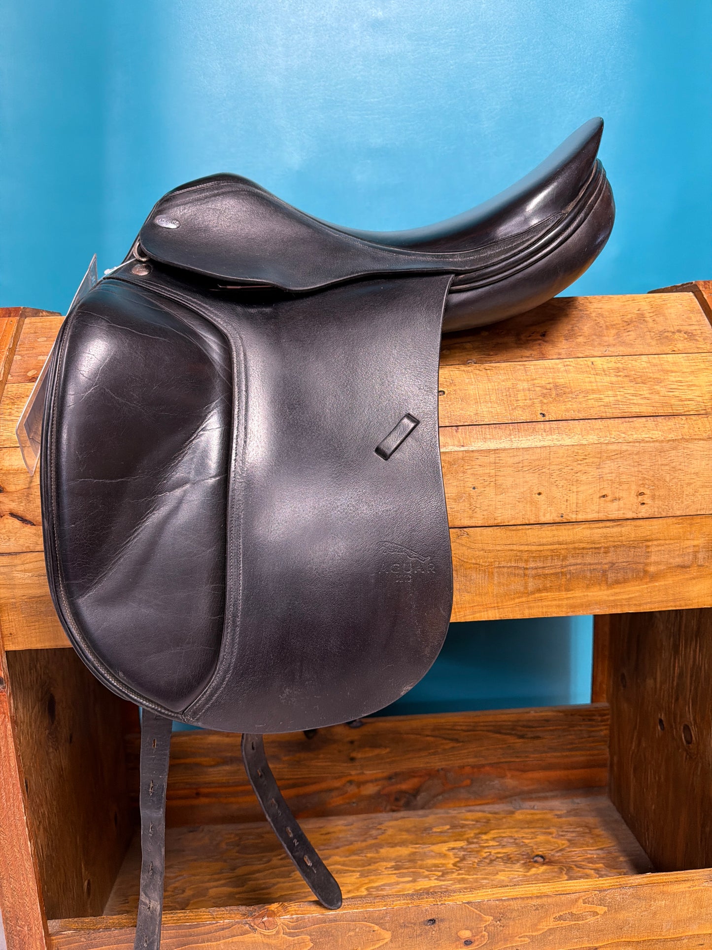 Jaguar Harry Dobbs Dressage, 17