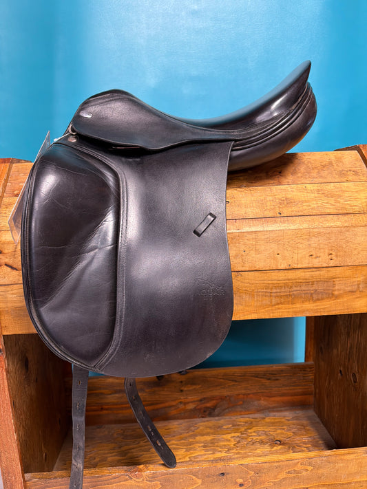 Jaguar Harry Dobbs Dressage, 17