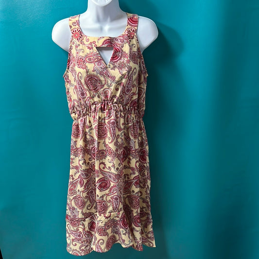 Pink & Red Roper Paisley Dress, S
