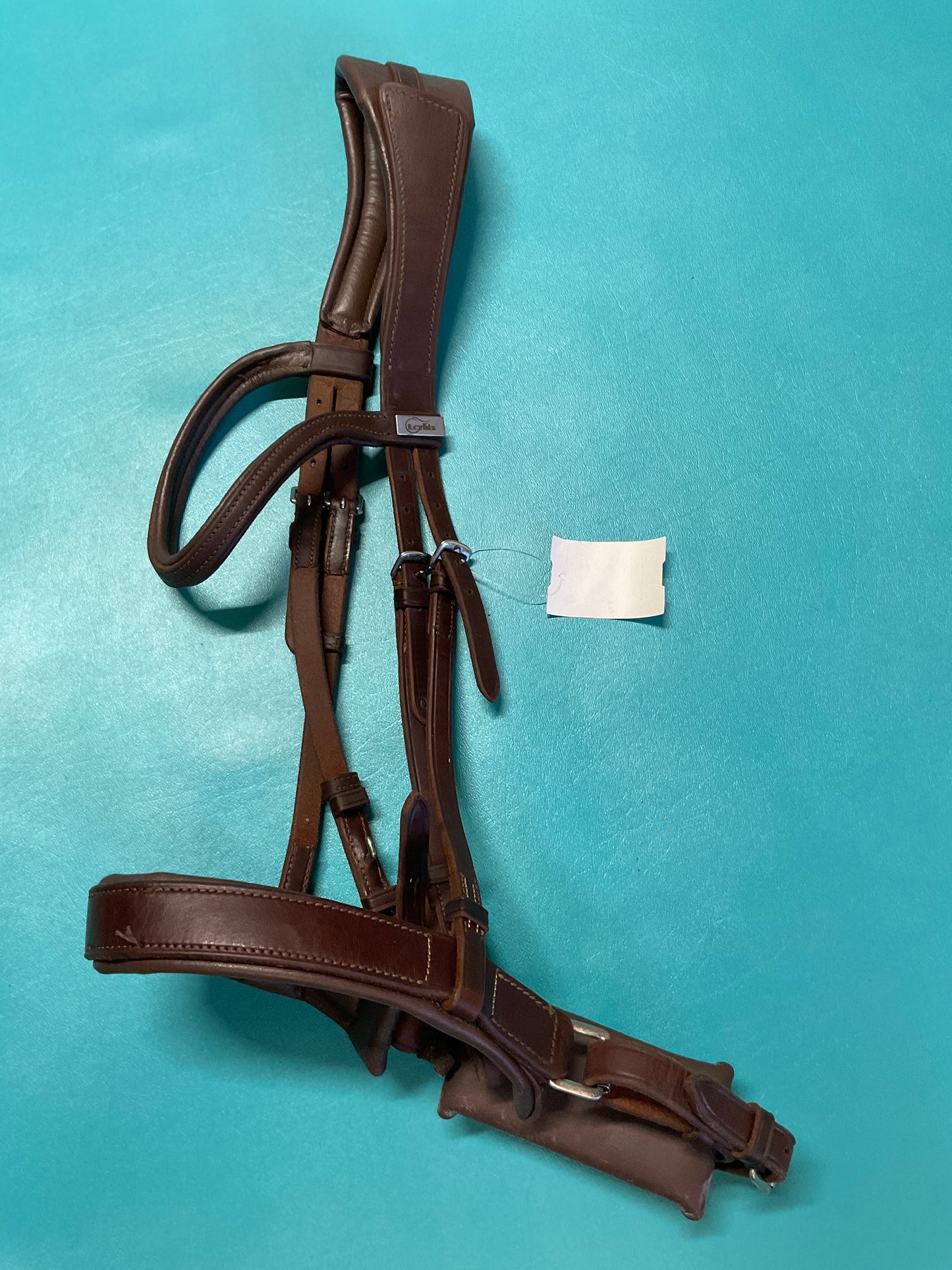 Lexhis English Bridle, Cob