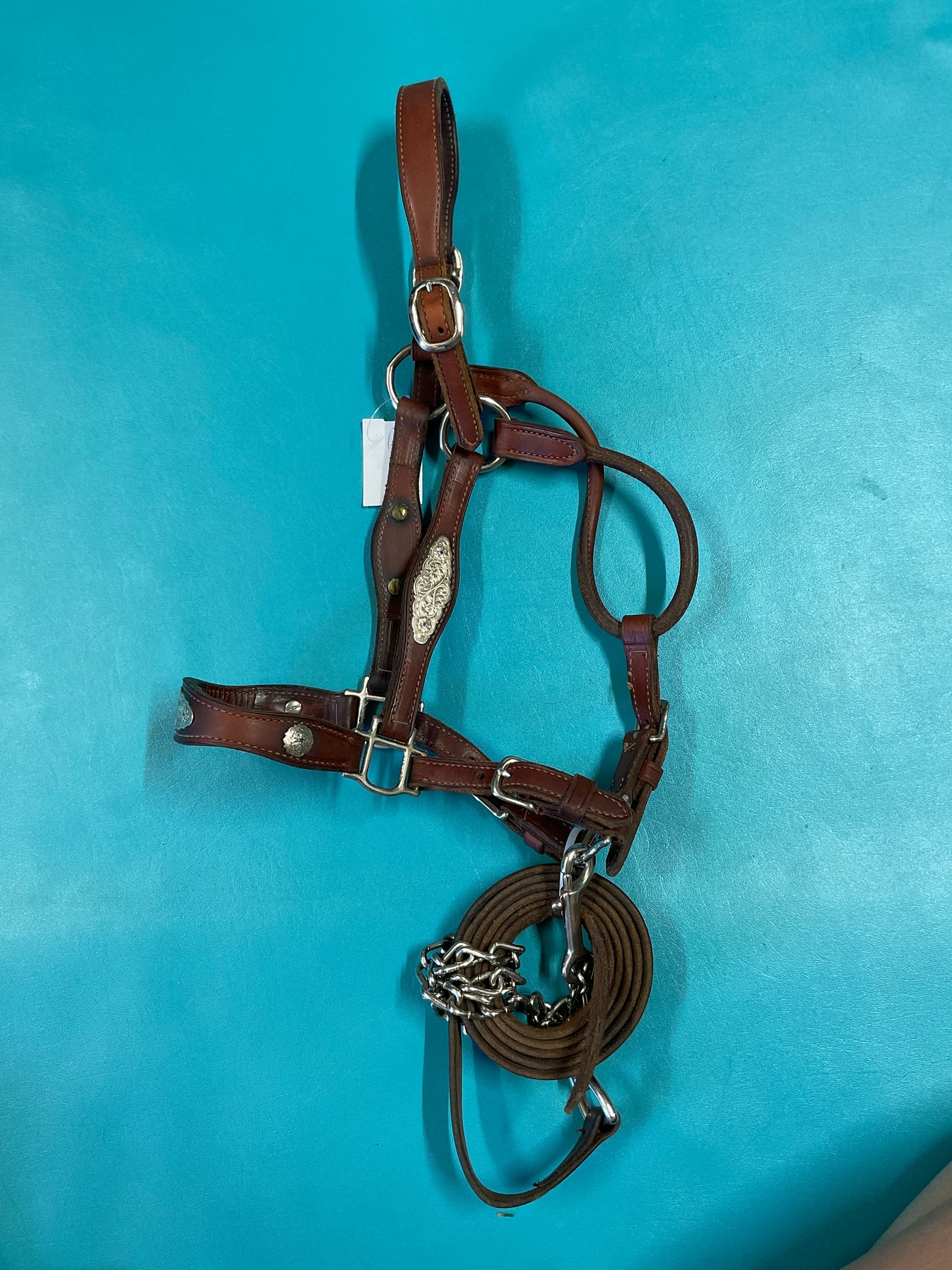 Champion Turf Show Halter