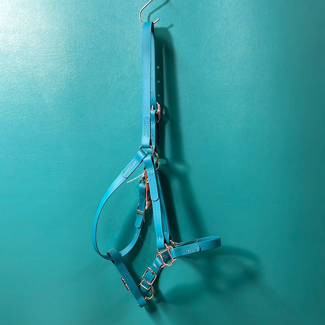 Teal  Beta Halter, Arab