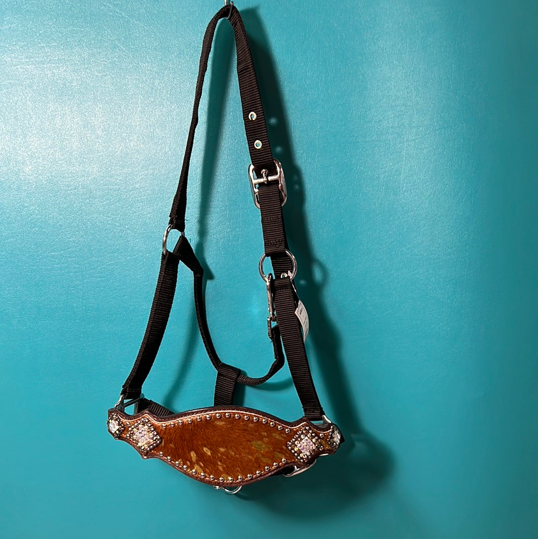 Bronc Halter, Horse