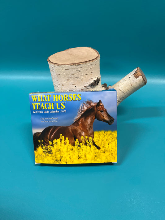 Horse 2025 Box Calendar