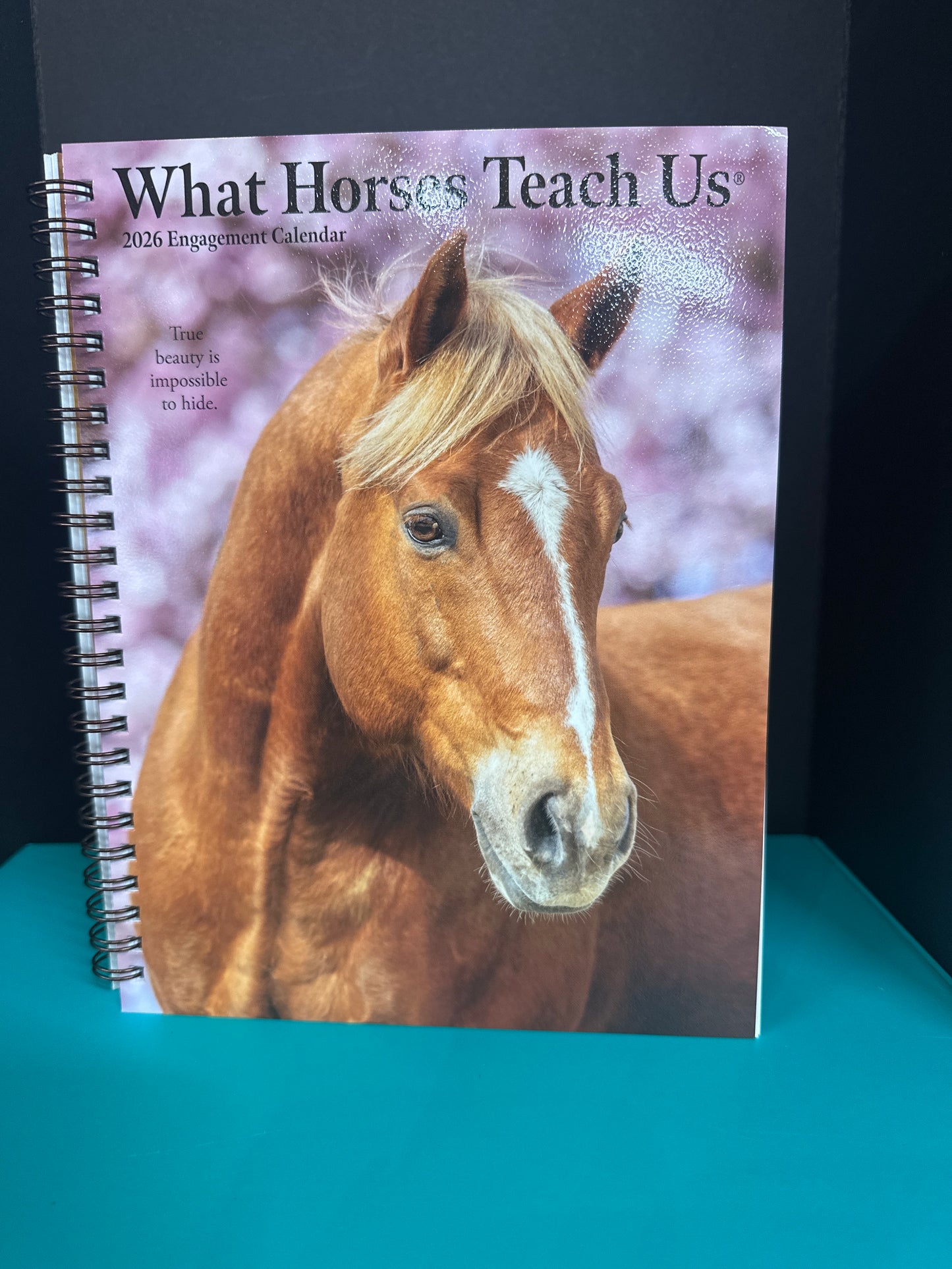 2026 Engagement Calendar