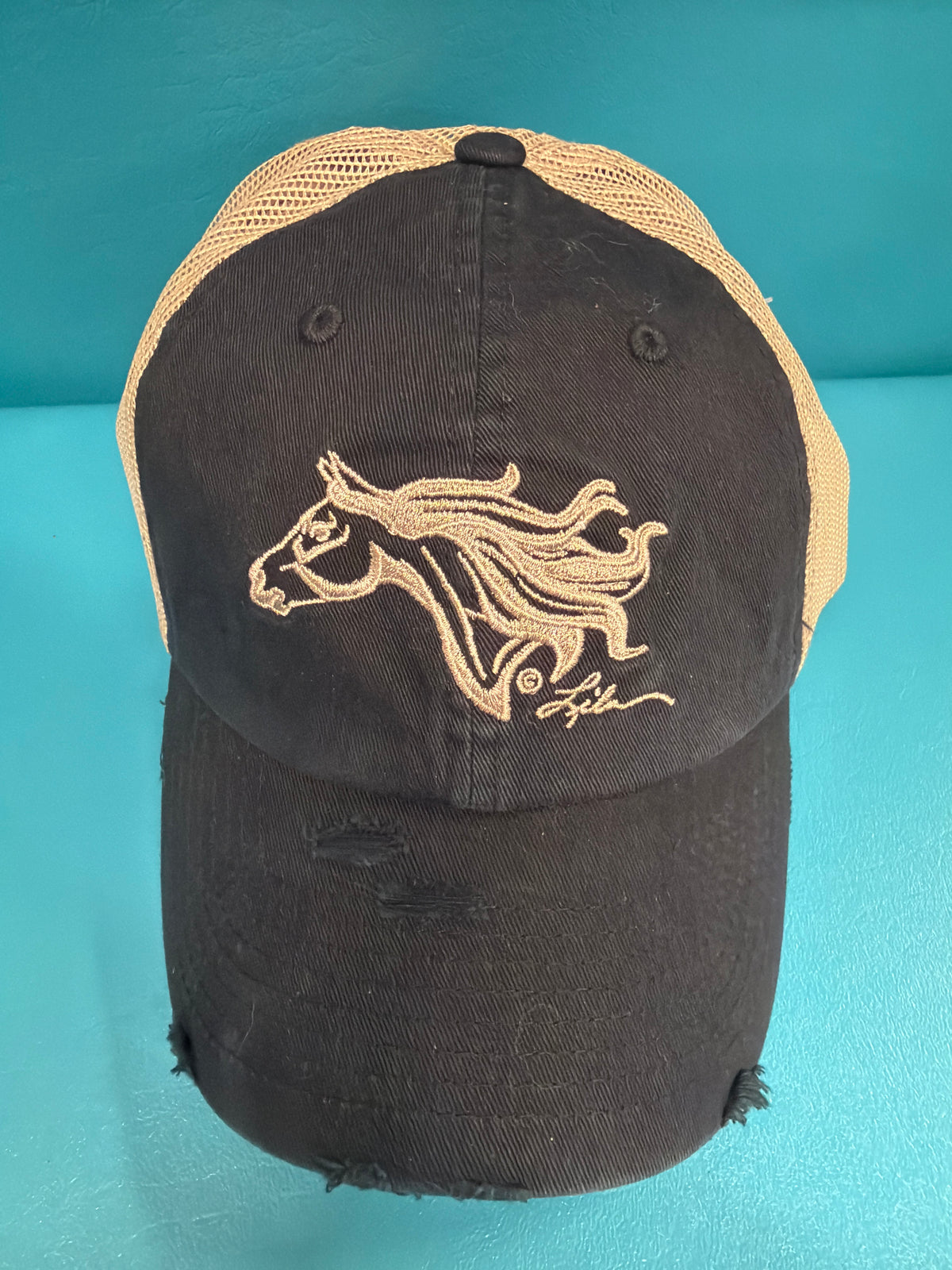 Distressed AWST International Hat, OSFM